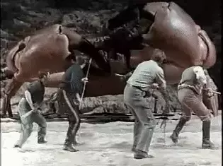 Crab - Cancer Rising