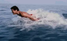 David Hasselhoff Cali