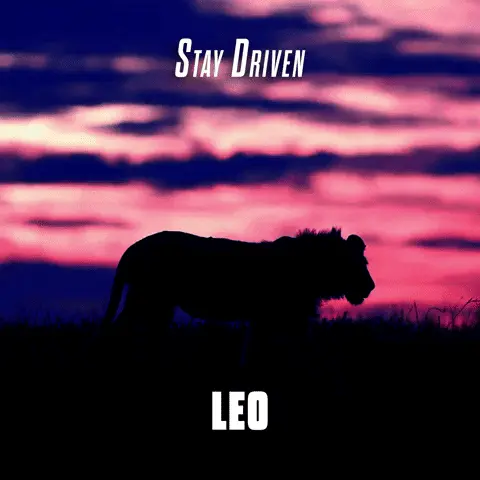 Stay driven Leo