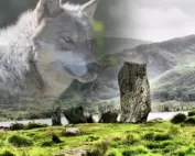 The Celtic Zodiac Signs Animals Thumbnail