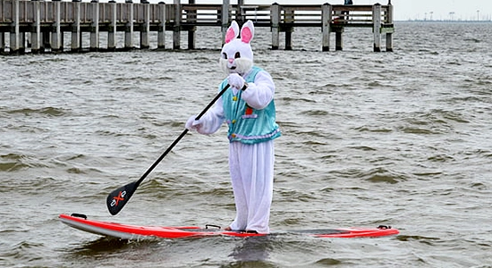 Rabbit crossing the river